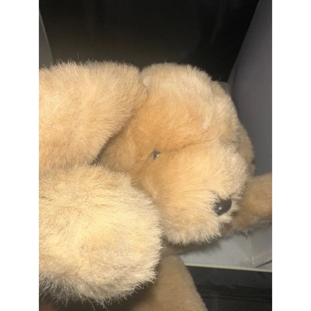 Gund Muttsy Puppy Dog Plush 14